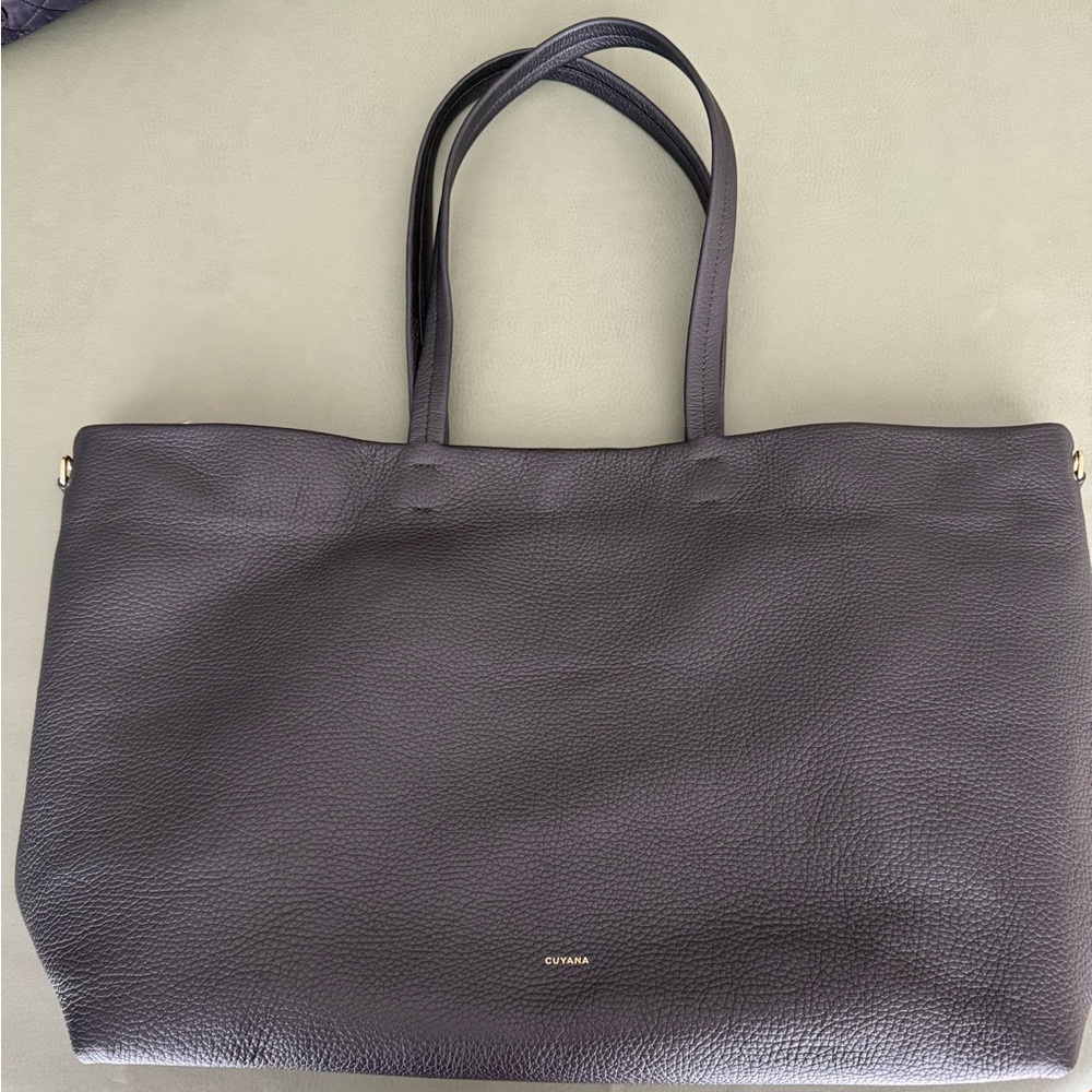 NWOT Cuyana Black Easy Zipper Tote with Insert